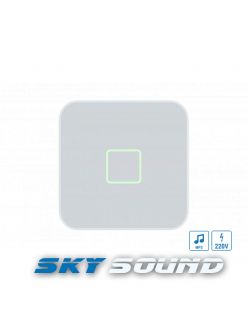 Мережевий програвач SKY SOUND WI-FI CASE PRO