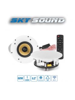 Комплект стельових динаміків SKY SOUND FLC-5 ACTIVE+BT+WI-FI
