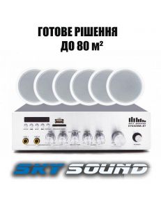 SKY SOUND CSY-3106