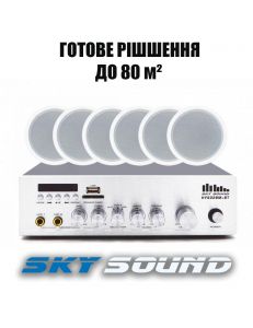 SKY SOUND CSY-3106