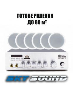 Трансляційний комплект SKY SOUND CSY-3106 (до 80  кв.м.)