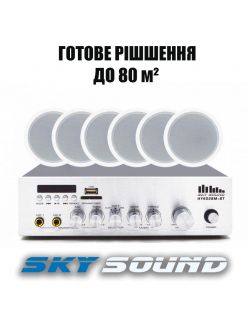 Трансляційний комплект SKY SOUND CSY-3106