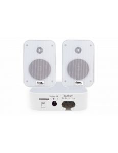 SKY SOUND WIFI BOX-1024