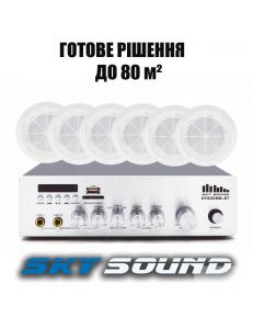 SKY SOUND CSY-2508