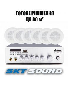 SKY SOUND CSY-2508