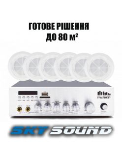 Трансляційний комплект SKY SOUND CSY-2508 (до 80 кв.м.)