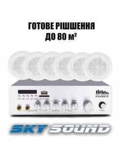 Трансляційний комплект SKY SOUND CSY-2508
