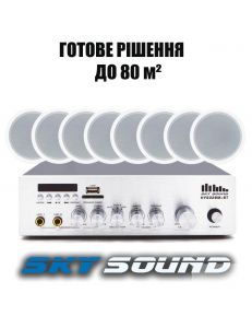SKY SOUND CSY-3008