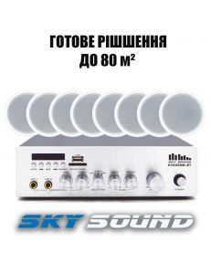 SKY SOUND CSY-3008
