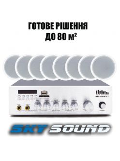 Трансляционный комплект SKY SOUND CSY-3008 (до 80  кв.м.)