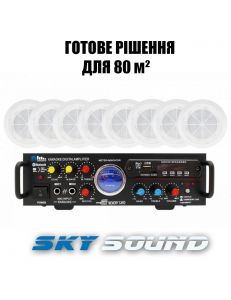 SKY SOUND CSM-2508