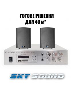Трансляційний комплект SKY SOUND WS-3002