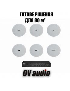 DV audio LA1206CMG8