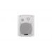 Трансляційна корпусна акустика DV audio WM-422TW