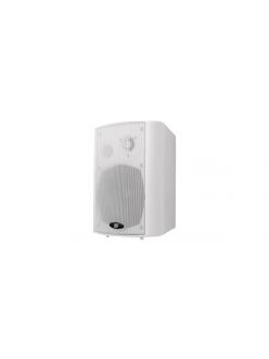 Трансляційна корпусна акустика DV audio WM-532TW