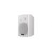 Трансляційна корпусна акустика DV audio WM-532TW