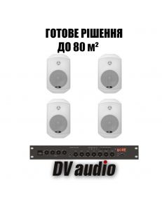 DV audio LA1004MS5W