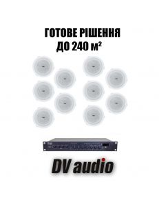 DV audio LA10010601
