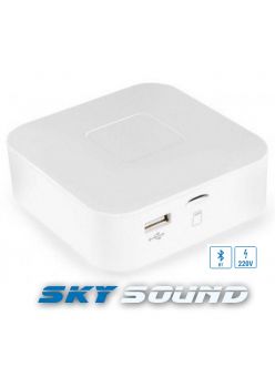 Активний бездротовий програвач SKY SOUND BT-230 Bluetooth (2*30W)