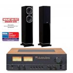 NAD C 3050 + Fyne Audio F501