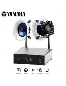 Yamaha NS-IC800 + Arylic A50+