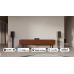 Стриминговый усилитель Arylic LA50 (Wi-Fi / Bluetooth / AirPlay 2)
