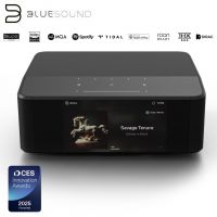 Bluesound NODE ICON