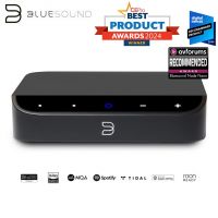 Bluesound NODE NANO