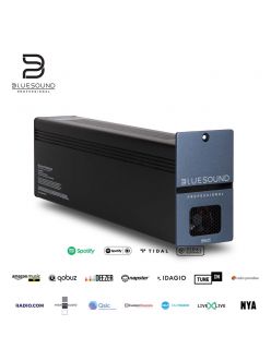 Трансляційний підсилювач Bluesound Pro B160S