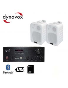 Dynavox VT-80+Dynavox LS5L3 до 40м²