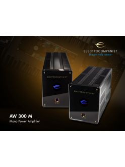 Підсилювач потужності Electrocompaniet AW 300 M