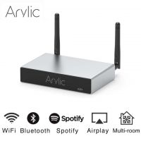 Arylic A30+