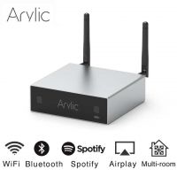 Arylic A50+