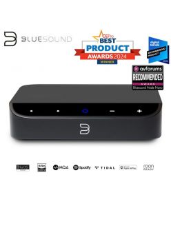 Мережевий програвач BlueSound NODE NANO