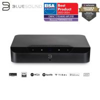 Bluesound POWERNODE EDGE
