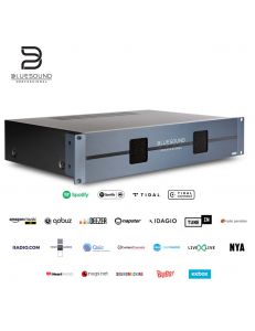 Bluesound Pro A860