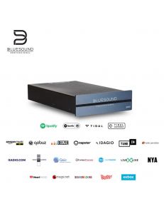 Bluesound Pro B100S