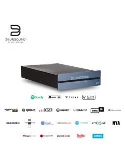 Мережевий музичний програвач Bluesound Pro B100S