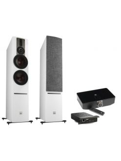 Стерео комплект Dali Dali Rubicon 6 C + Sound Hub + Bluos NPM-1