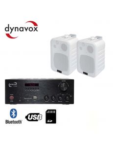 Dynavox VT-80+LS5L3 до 40м²