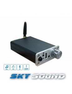 SKY SOUND WIFI A-MINI (2*35W)